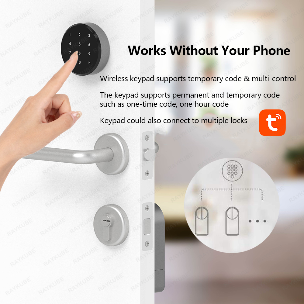RAYKUBE A1 Pro Tuya BEL Inteli – Woodworking App recenzja i cena
